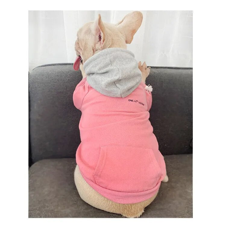 Casual Dog and Owner Matching Hoodie Set