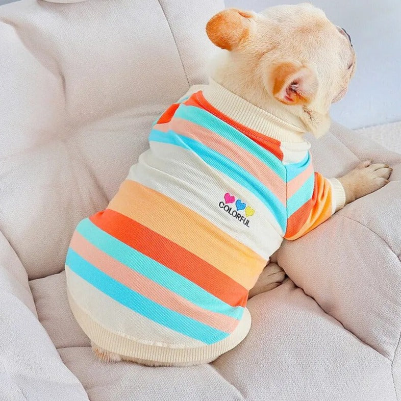 Dog And Owner Matching Long Sleeve Colorful Stripe