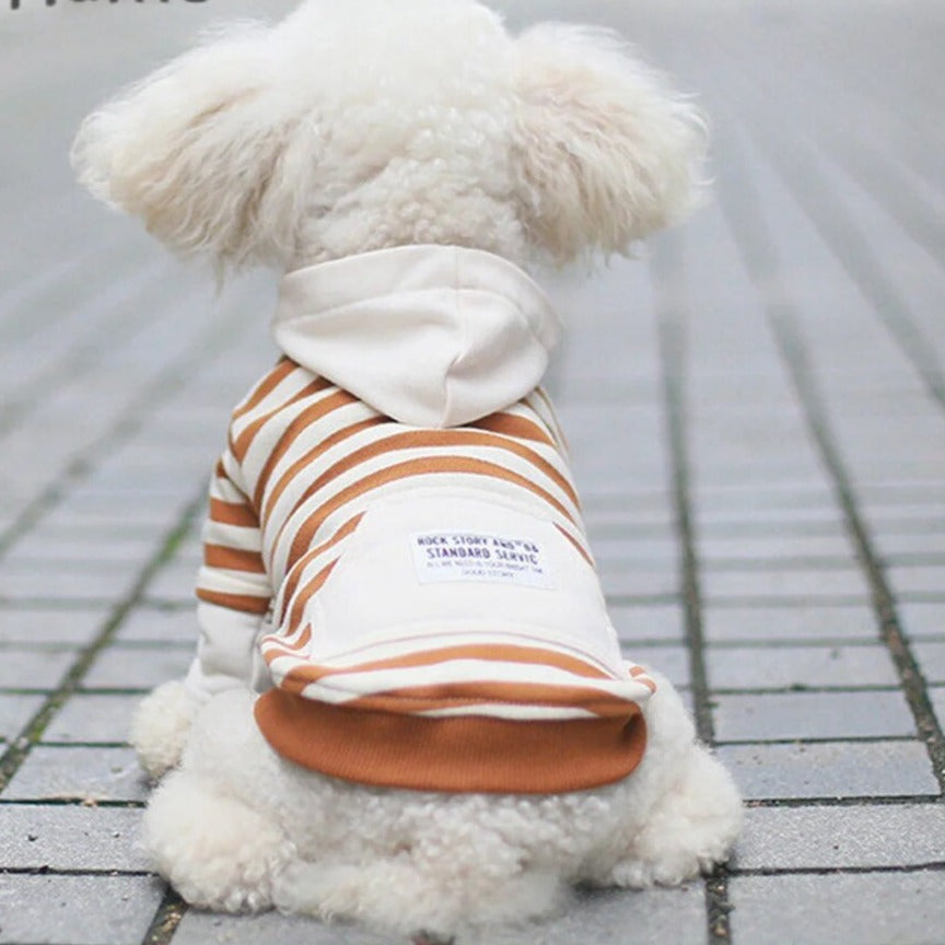 Orange Stripe Hooded Dog and Parent Matching